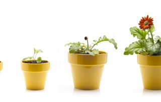 Understanding the Four Phases of Your Retirement Budget Strategy Structured Wealth Management